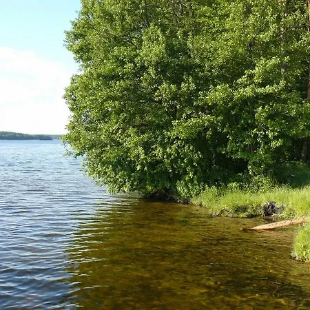 Letniskowy - * Jerutki