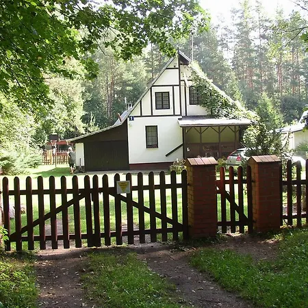 Letniskowy - Jerutki