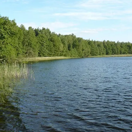 Letniskowy - * Jerutki