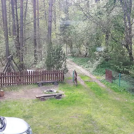 Letniskowy - * Jerutki