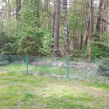 Letniskowy - * Jerutki