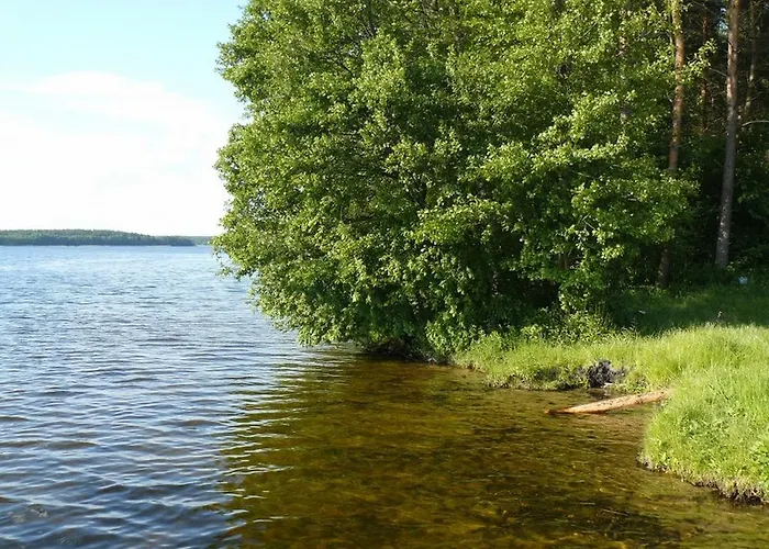 Letniskowy - * Jerutki