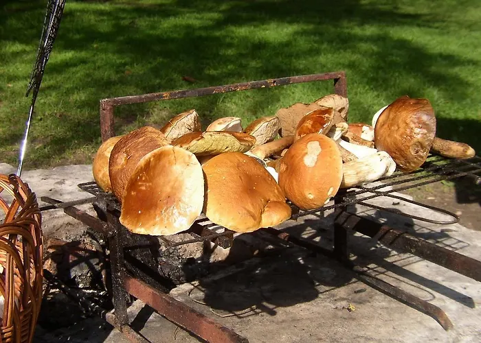 Casa vacanze Letniskowy -